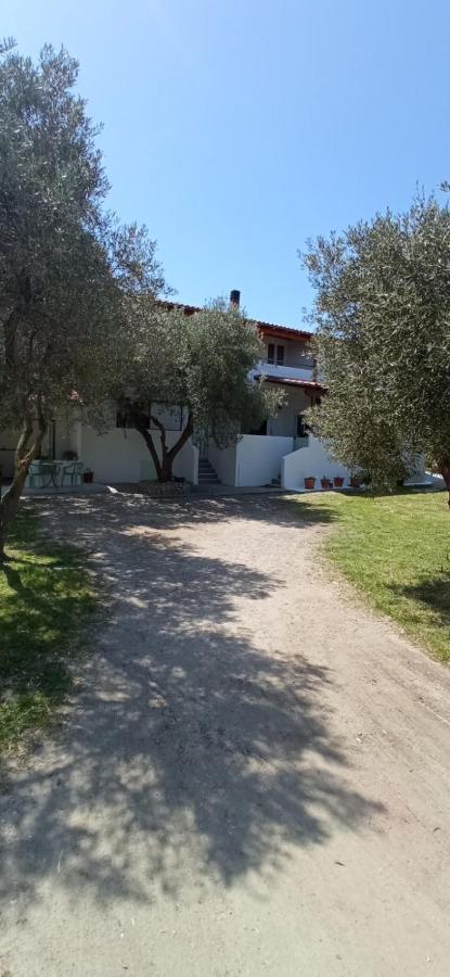 House Eugenia Sarti Apartment Luaran gambar